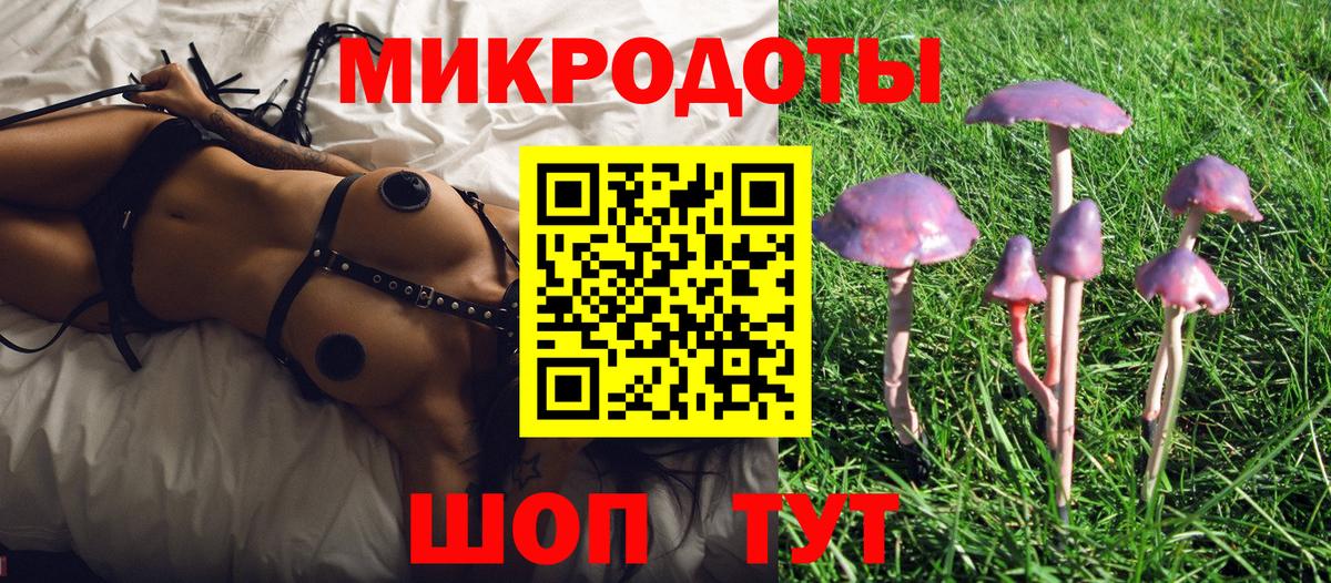 Галлюциногенные грибы Psilocybine cubensis Барнаул